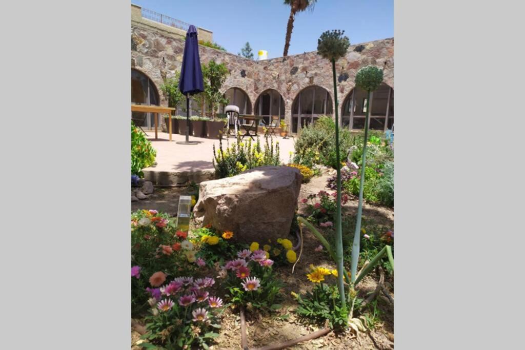 Eilat Stone - Patio אבן אילת - פטיו Apartamento Exterior foto