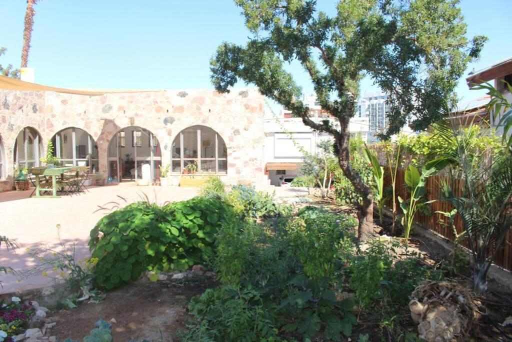 Eilat Stone - Patio אבן אילת - פטיו Apartamento Exterior foto