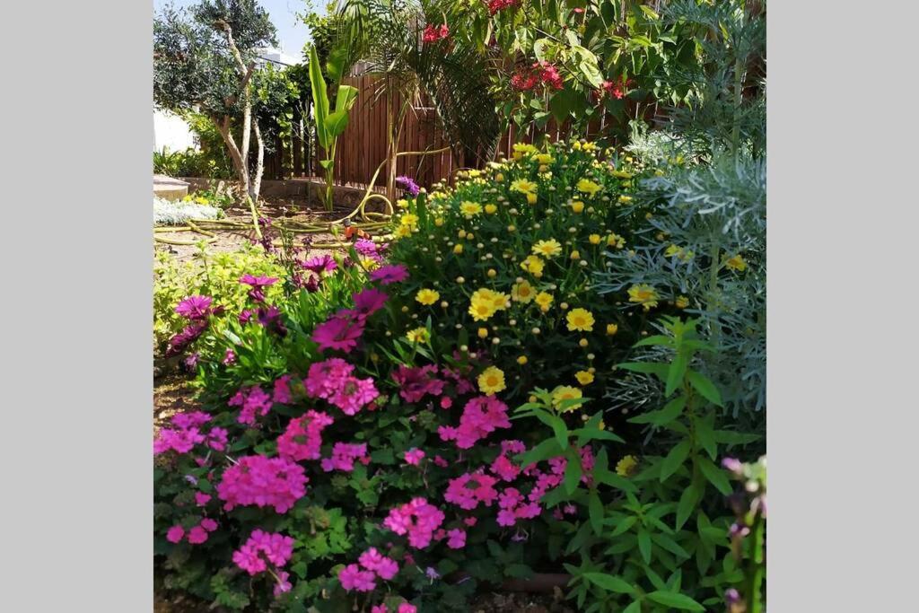 Eilat Stone - Patio אבן אילת - פטיו Apartamento Exterior foto